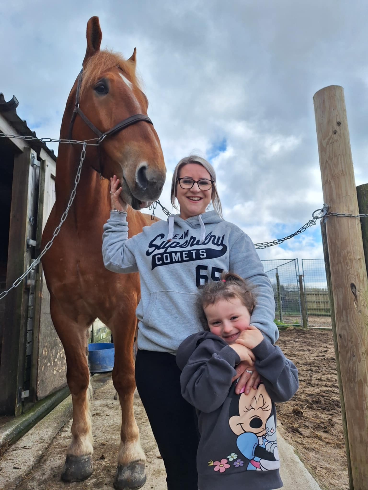 Cliffords Kingdom, Suffolk Punch Cornwall, Cornwall horse riding, therapy, horse drawn funeral services, horse drawn carriage rides, hacking, horse visiting, horse visit centre, Suffolk Punch visitor centre