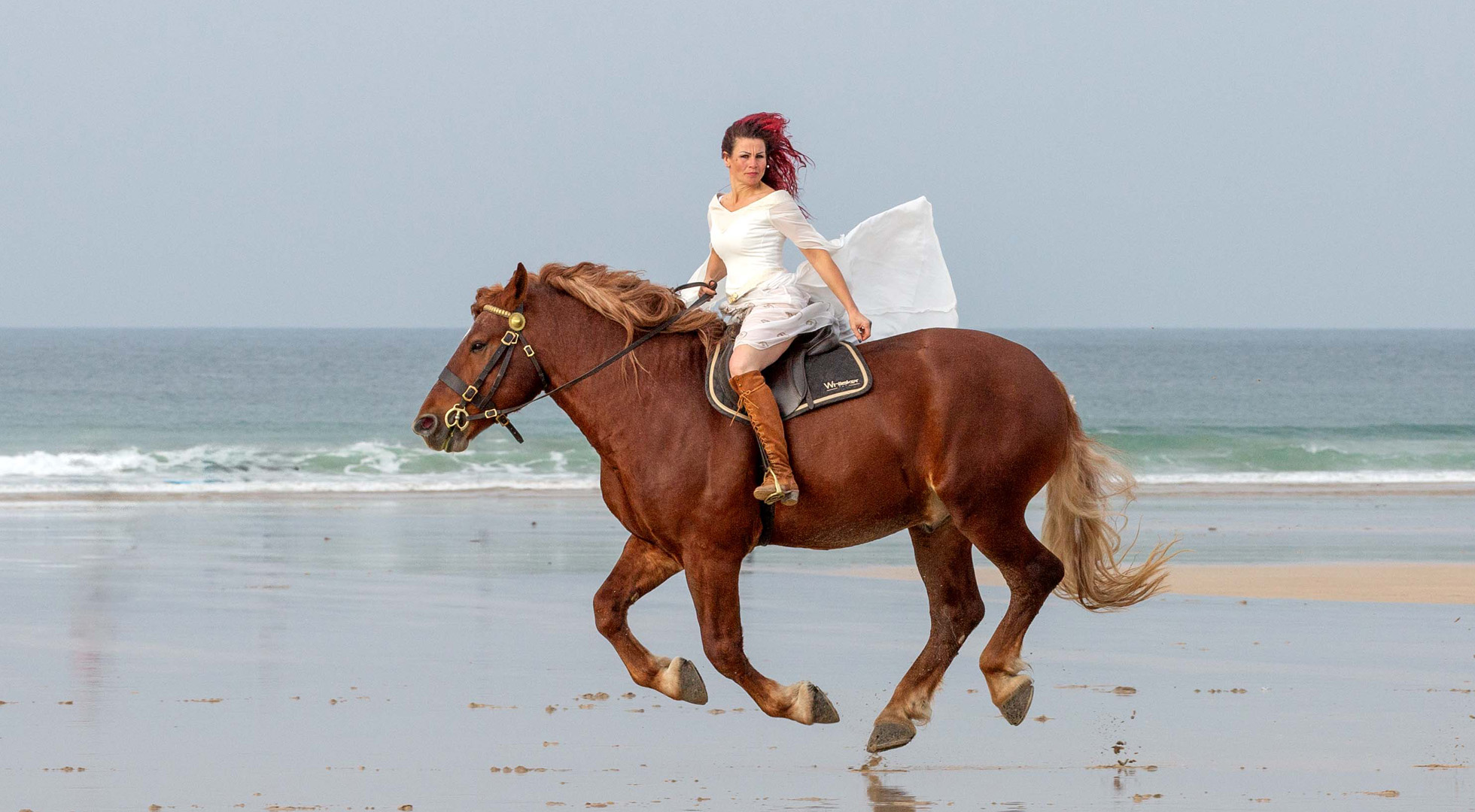 Cliffords Kingdom, Suffolk Punch Cornwall, Cornwall horse riding, therapy, horse drawn funeral services, horse drawn carriage rides, hacking, horse visiting, horse visit centre, Suffolk Punch visitor centre